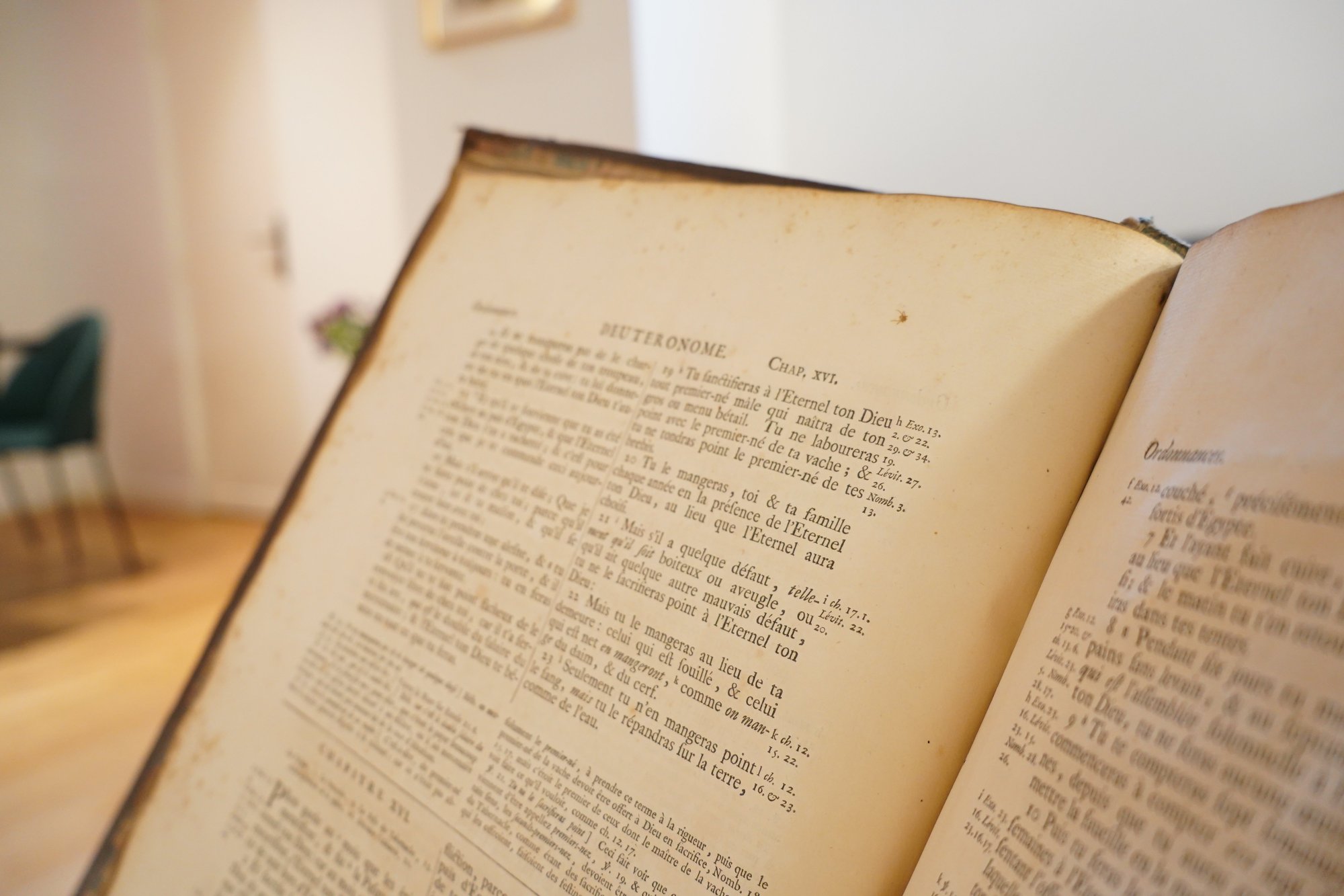 Bible de David Martin