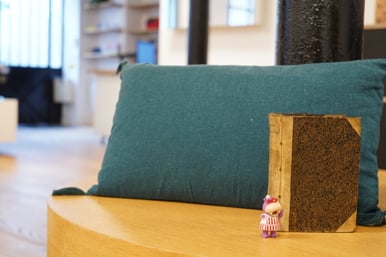 Nouveau Testament Castellion B.IX.12