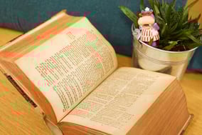 Nouveau Testament Castellion B.IX.12