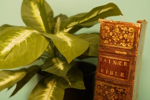 Bible d'Olivetan A.I.25