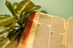 Bible d'Olivetan A.I.25