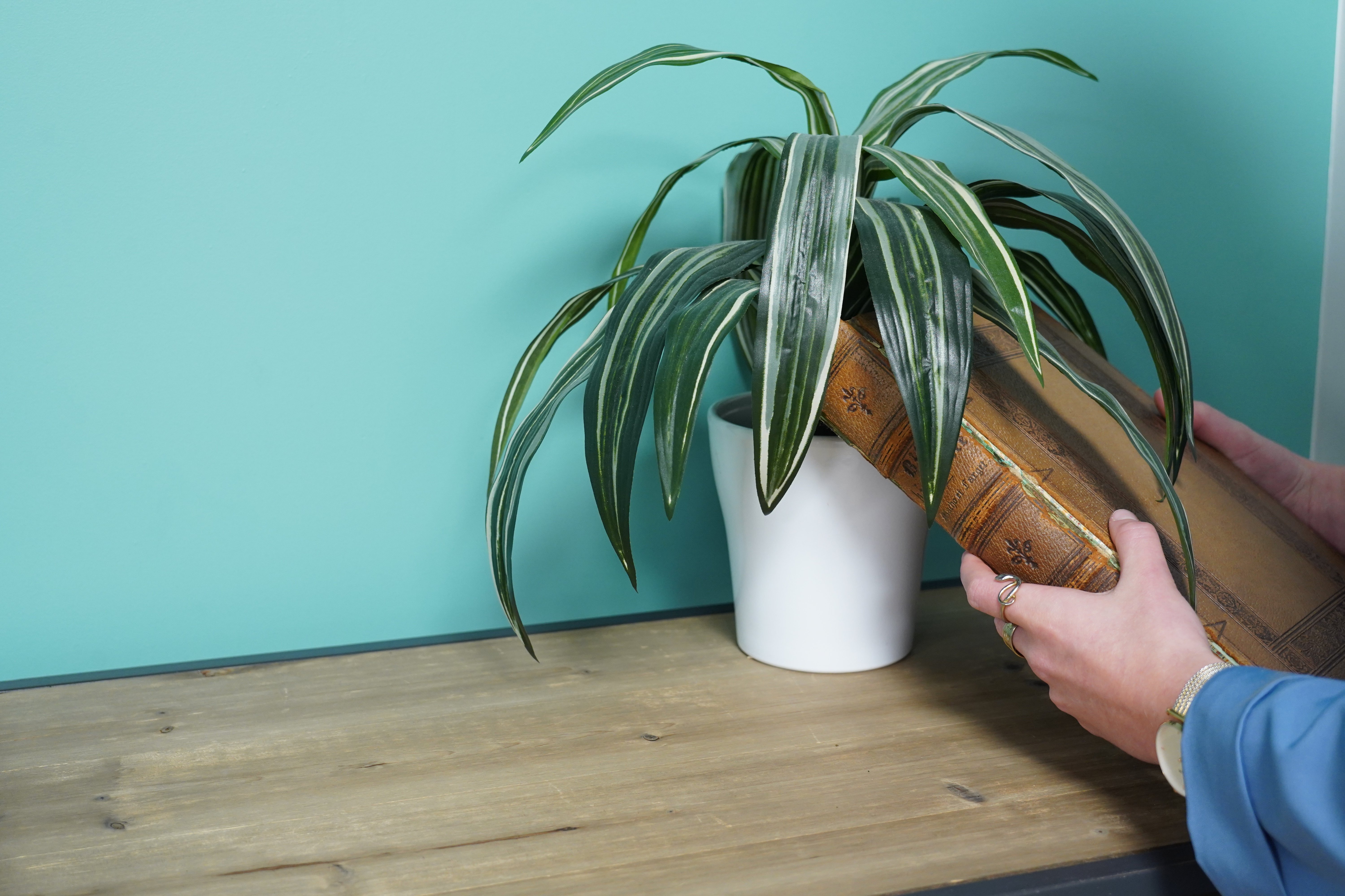 le temps des mansucrits