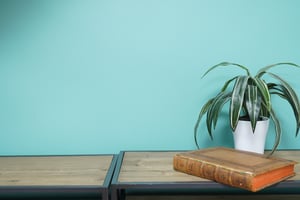 Bible du vieil Testament B.IV.19