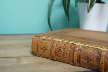 Bible du vieil Testament B.IV.19