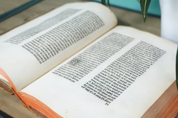 Bible du vieil Testament B.IV.19