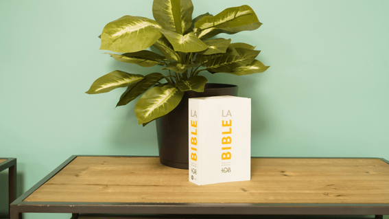 Rubriques ActuBible
